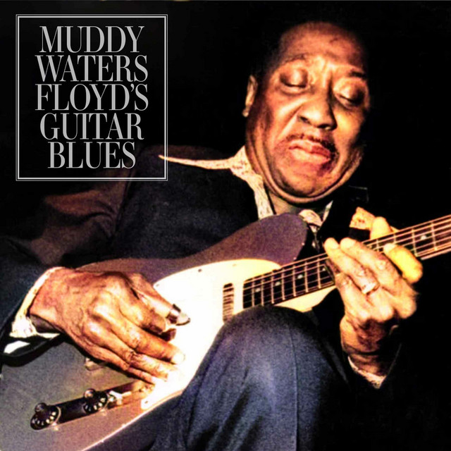 کاور آهنگ Lonesome In My Bedroom - Live از Muddy Waters