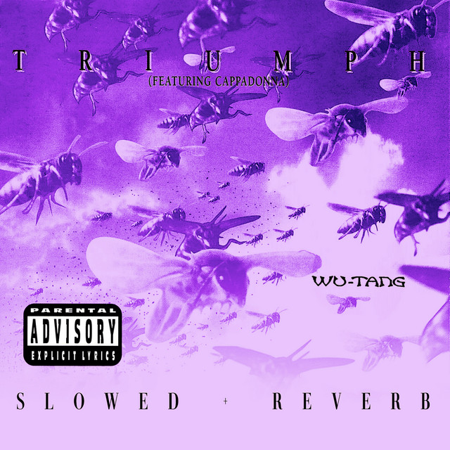 کاور آهنگ Triumph (feat. Cappadonna) - slowed + reverb از Cappadonna, Wu-Tang Clan
