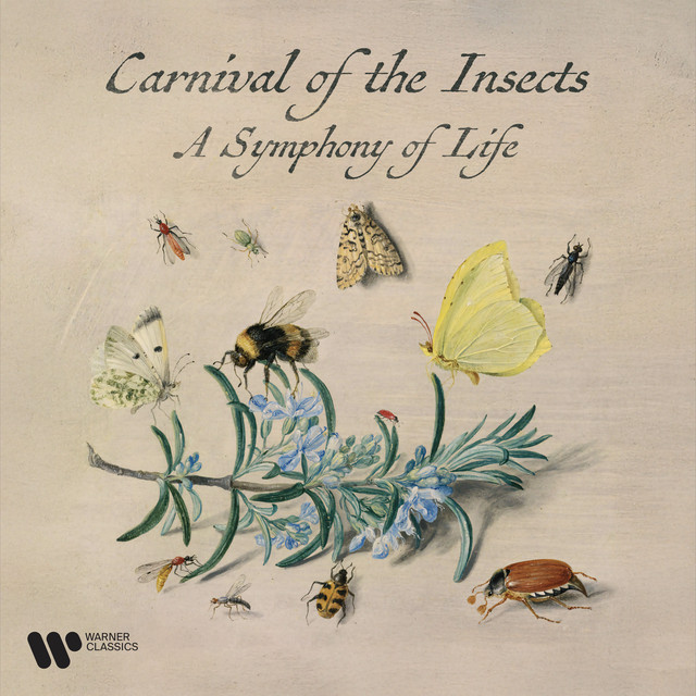کاور آهنگ Schubert, F: Bagatelles, Op. 13: No. 9, L'abeille از Antonin Dvorak, Wolfgang Amadeus Mozart, Antonio Vivaldi, Albert Roussel, Alessandro Scarlatti, Agustin Barrios Mangore, Renaud Capucon, Anatoly Lyadov, Andre Caplet, Andre Messager, Cole Porter