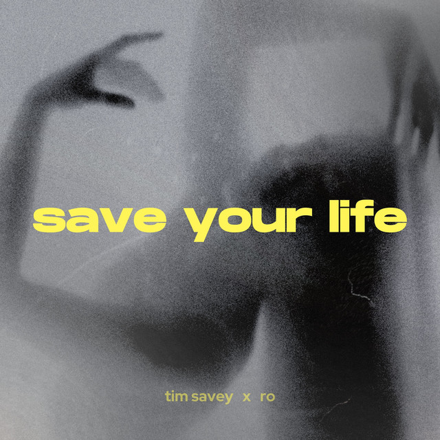 کاور آهنگ Save Your Life از Ro