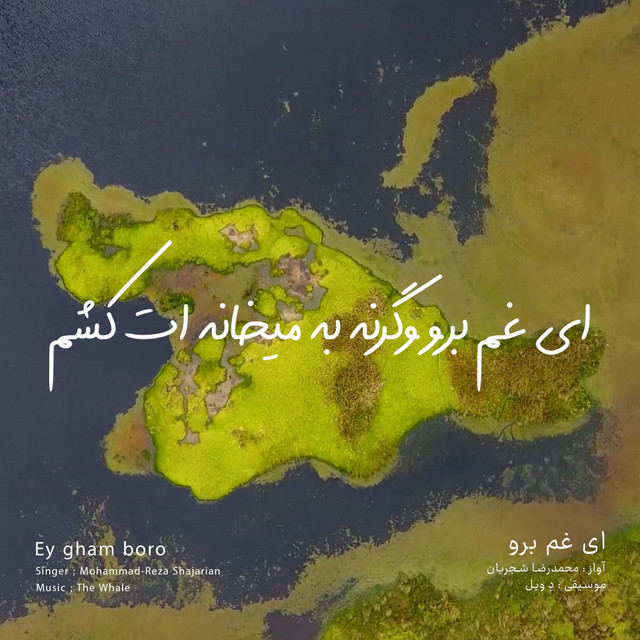 کاور آهنگ ای غم برو - بازآفرینی اثر محمدرضا شجریان از دِ وِیل