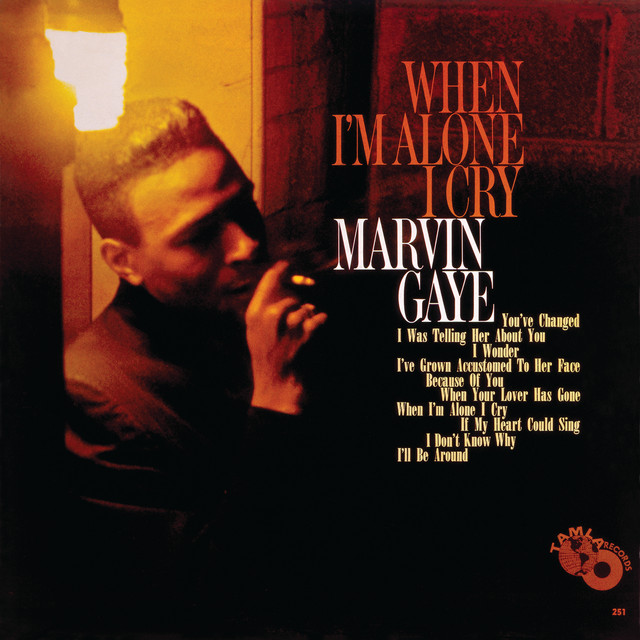 کاور آهنگ When I'm Alone I Cry از Marvin Gaye