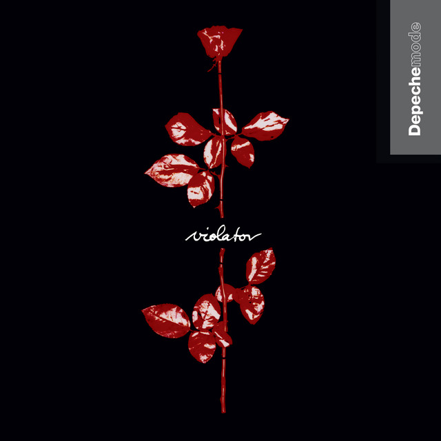 کاور آهنگ Enjoy the Silence از Depeche Mode