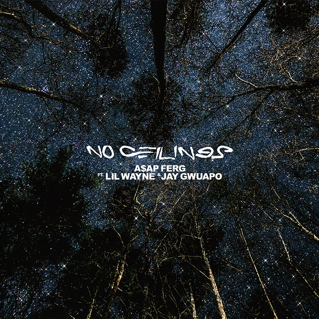 کاور آهنگ No Ceilings (feat. Lil Wayne & Jay Gwuapo) از Lil Wayne, A$AP Ferg