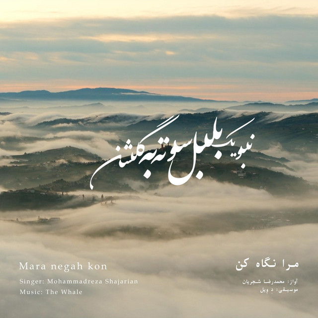 کاور آهنگ مرا نگاه کن - بازآفرینی اثر محمدرضا شجریان از دِ وِیل