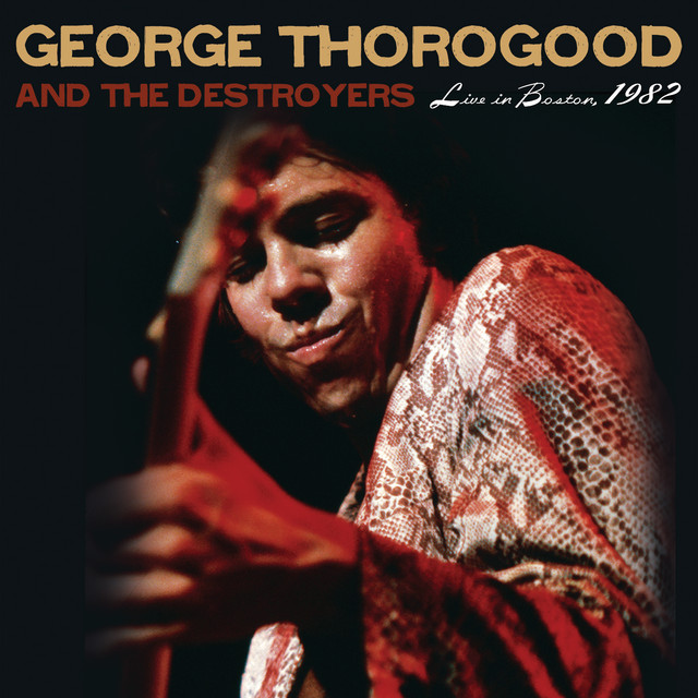 کاور آهنگ It Wasn’t Me از George Thorogood & The Destroyers