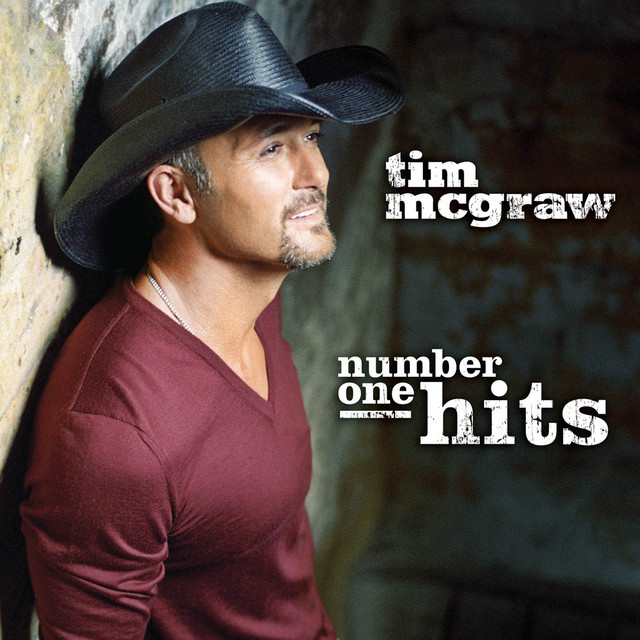 کاور آهنگ Southern Voice از Tim McGraw
