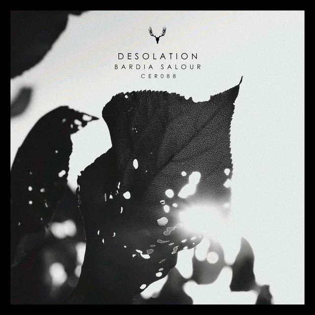 کاور آهنگ Desolation - Original Mix از Bardia Salour