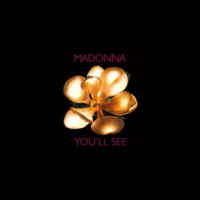 کاور آهنگ You'll See - Instrumental از Madonna