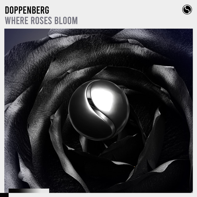 کاور آهنگ Where Roses Bloom از Doppenberg