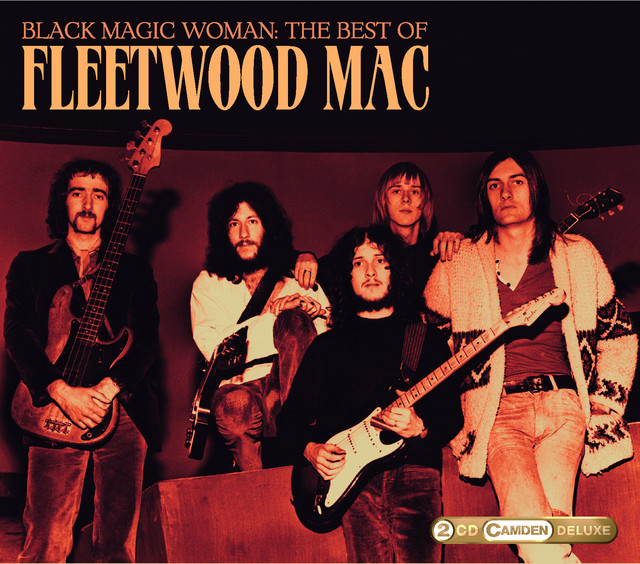 کاور آهنگ Dust My Broom از Fleetwood Mac
