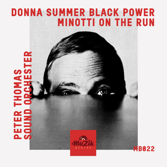 کاور آهنگ Black Power - Instrumental از Donna Summer, Peter Thomas Sound Orchester