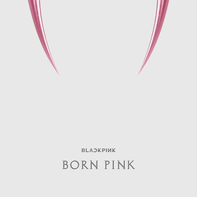 کاور آهنگ The Happiest Girl از BLACKPINK