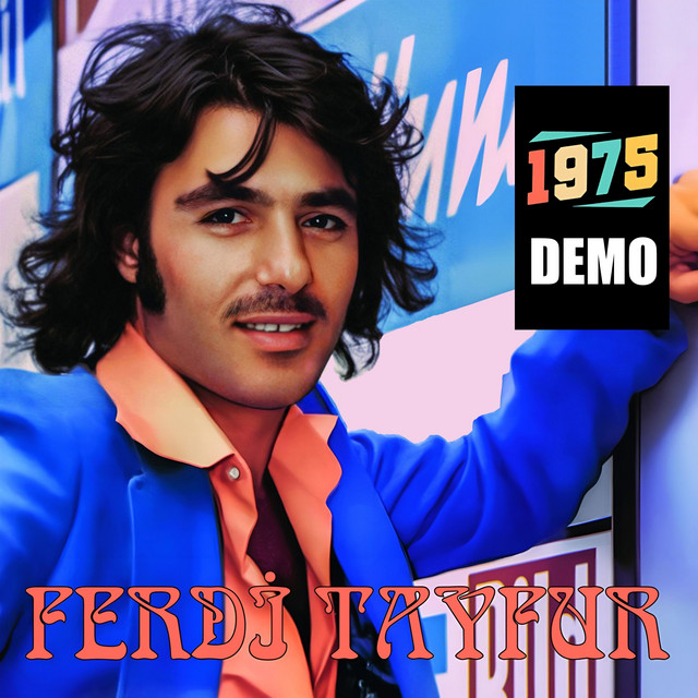 کاور آهنگ Bir Türlü Aklımdan Çıkmıyorsun از Ferdi Tayfur