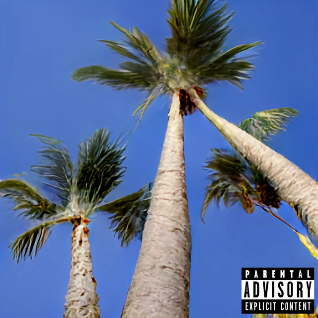 کاور آهنگ Palm Trees از Nick Fine