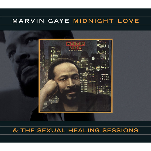 کاور آهنگ I've Got My Music - Original Vocal Version of "Turn On Some Music" از Marvin Gaye