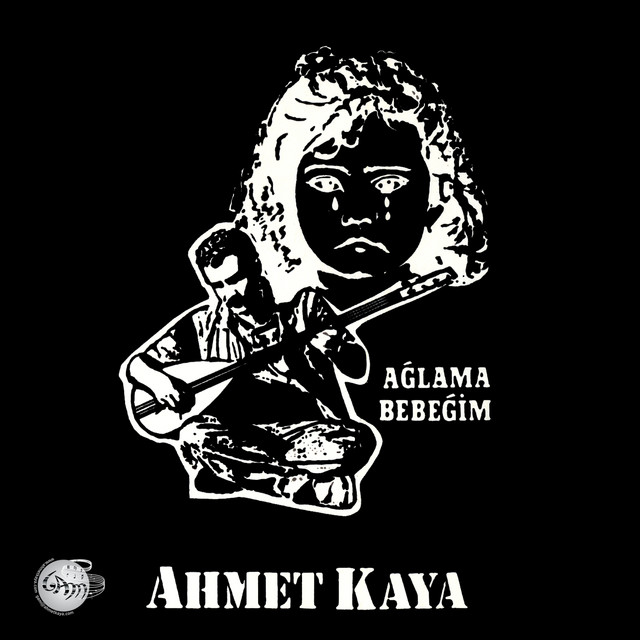 کاور آهنگ Şahin Gibi از Ahmet Kaya