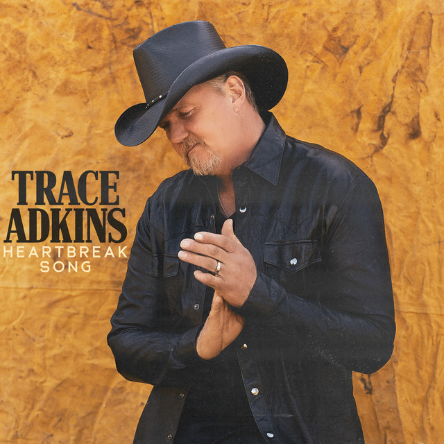 کاور آهنگ Heartbreak Song از Trace Adkins