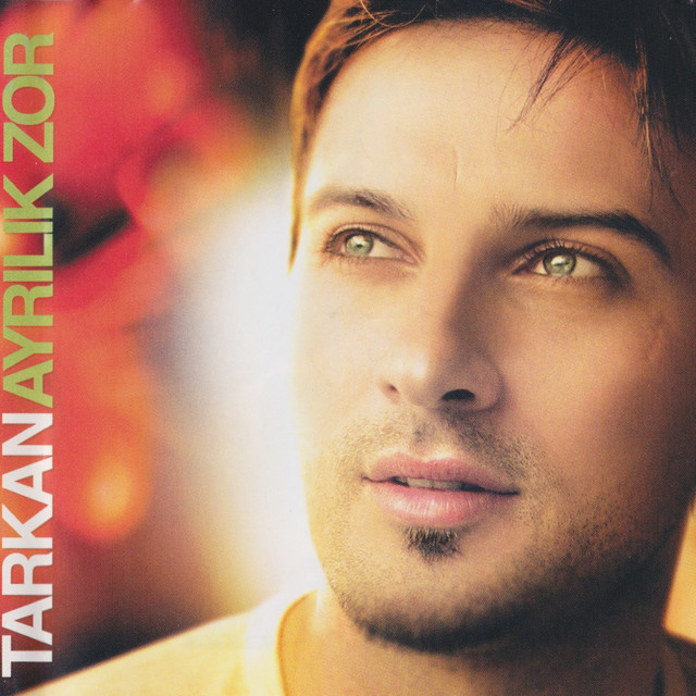 کاور آهنگ Ayrılık Zor - Ozinga Melankoli Mix از Tarkan