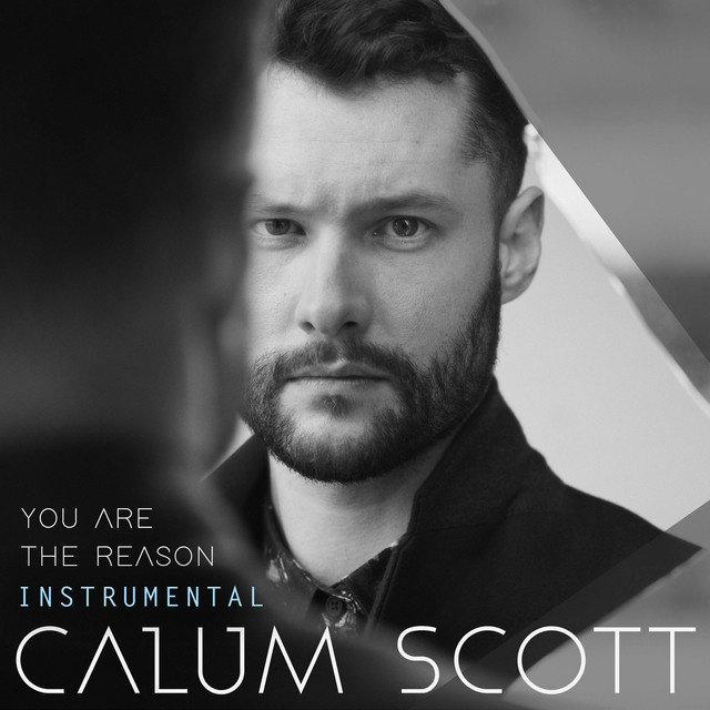 کاور آهنگ You Are The Reason - Instrumental از Calum Scott