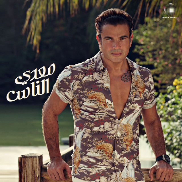 کاور آهنگ Ganb Habiby از Amr Diab