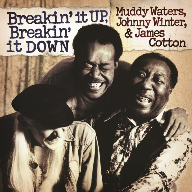 کاور آهنگ Can't Be Satisfied از Muddy Waters, Johnny Winter, James Cotton