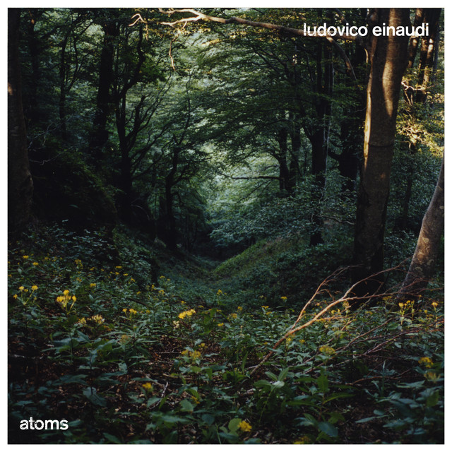 کاور آهنگ Atoms از Ludovico Einaudi