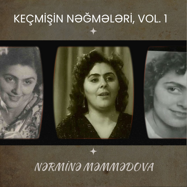 کاور آهنگ Gözəl Pəri از Nermine Memmedova