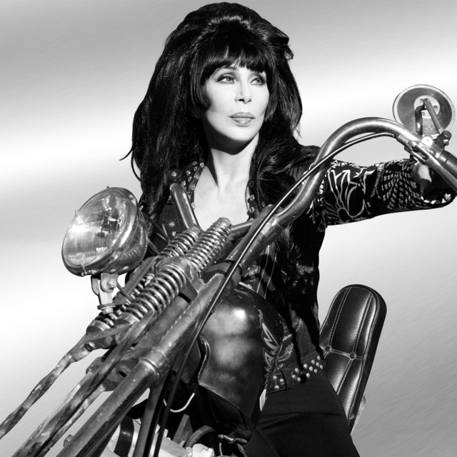 کاور آهنگ The Way of Love - 2024 Remaster از Cher