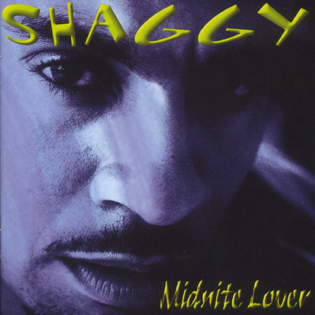 کاور آهنگ Think Ah So It Go از Shaggy