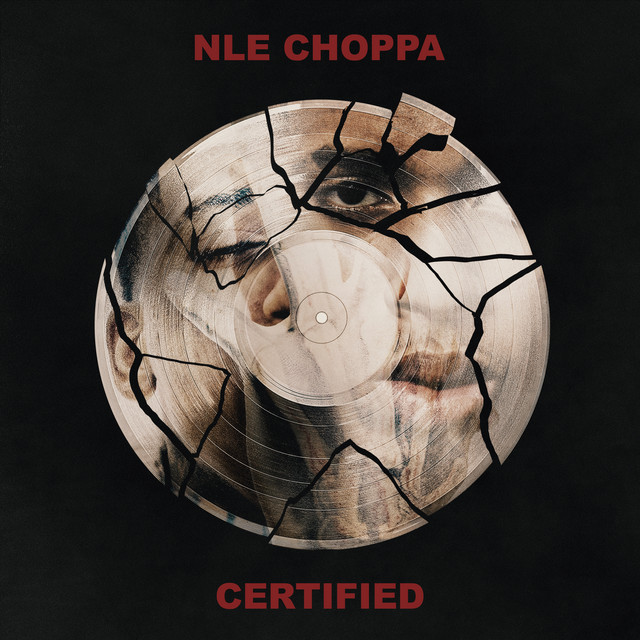 کاور آهنگ DO IT AGAIN (feat. 2Rare) از NLE Choppa, 2Rare