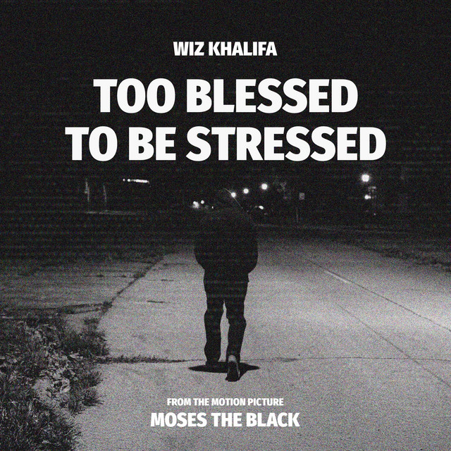 کاور آهنگ Too Blessed to Be Stressed از Wiz Khalifa