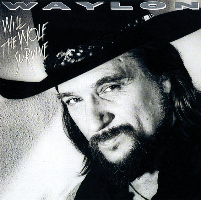 کاور آهنگ The Shadow Of Your Distant Friend از Waylon Jennings