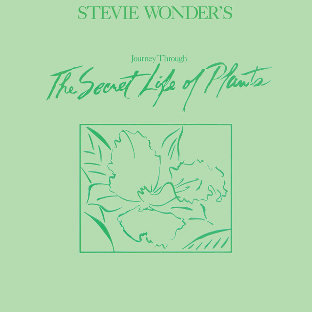 کاور آهنگ The Secret Life Of Plants از Stevie Wonder