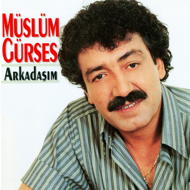 کاور آهنگ Sevgilim Değilsin از Muslum Gurses