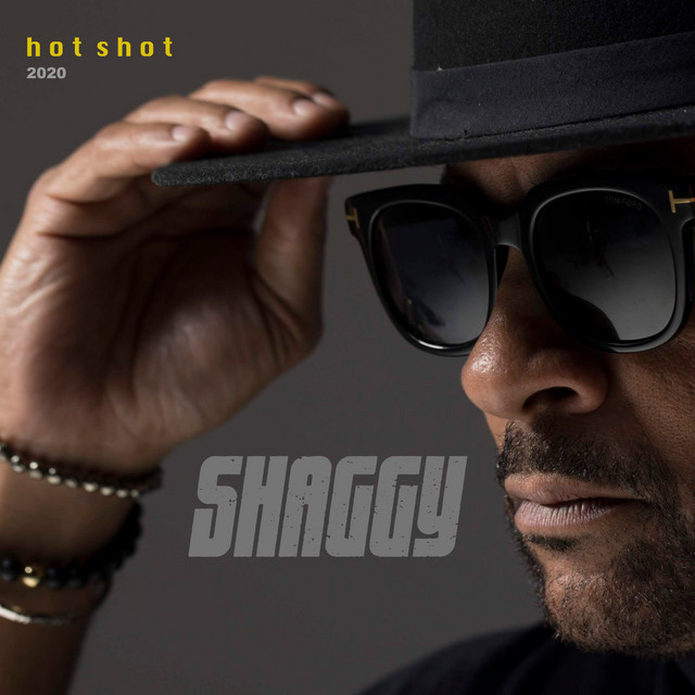 کاور آهنگ Hey S&xy Lady (Hot Shot 2020) از Shaggy