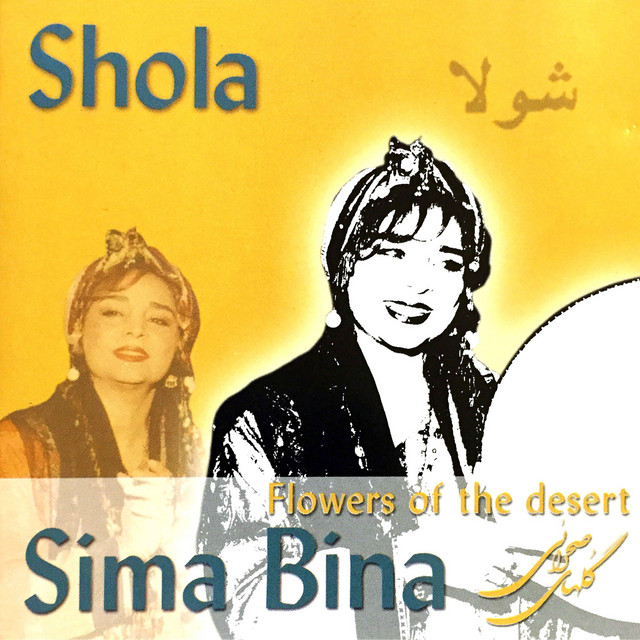 کاور آهنگ هی برادر، هی نشو از سیما بینا