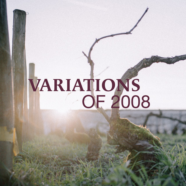 کاور آهنگ Ensemble (Variations of 2008) از Max Richter