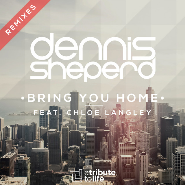 کاور آهنگ Bring You Home - Steve Brian Remix از Steve Brian, Dennis Sheperd