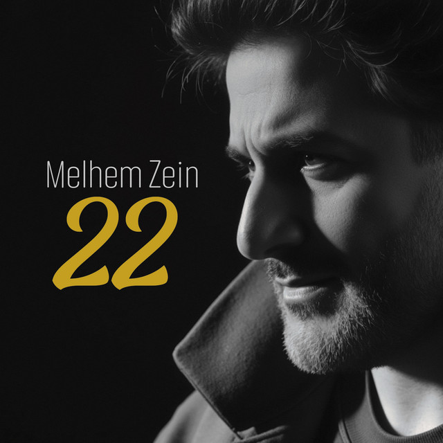 کاور آهنگ تنور از Melhem Zein