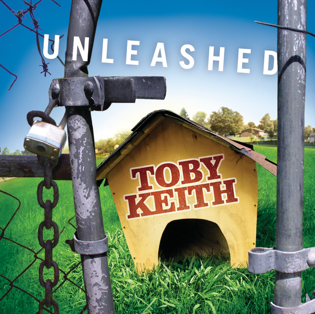 کاور آهنگ Rock You Baby از Toby Keith