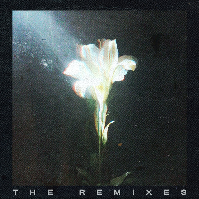 کاور آهنگ Light That Leads Me از Bebe Rexha, Netsky