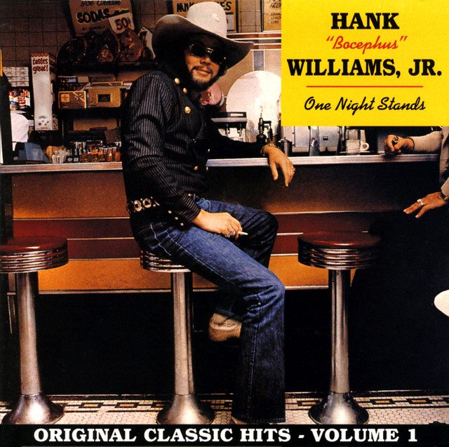 کاور آهنگ Angels Get Lonesome Sometimes از Hank Williams, Jr.