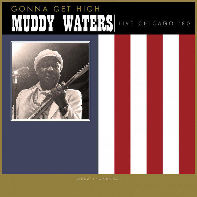 کاور آهنگ I Wonder Why - Live از Muddy Waters
