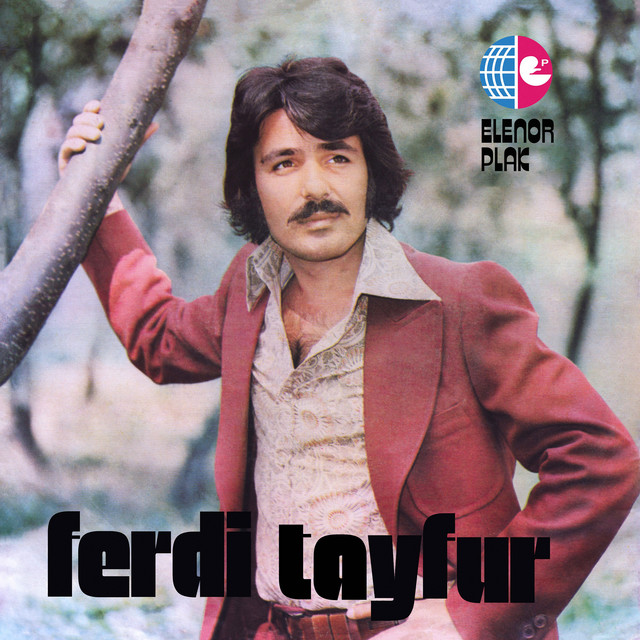 کاور آهنگ Yağmur Gözyaşım از Ferdi Tayfur