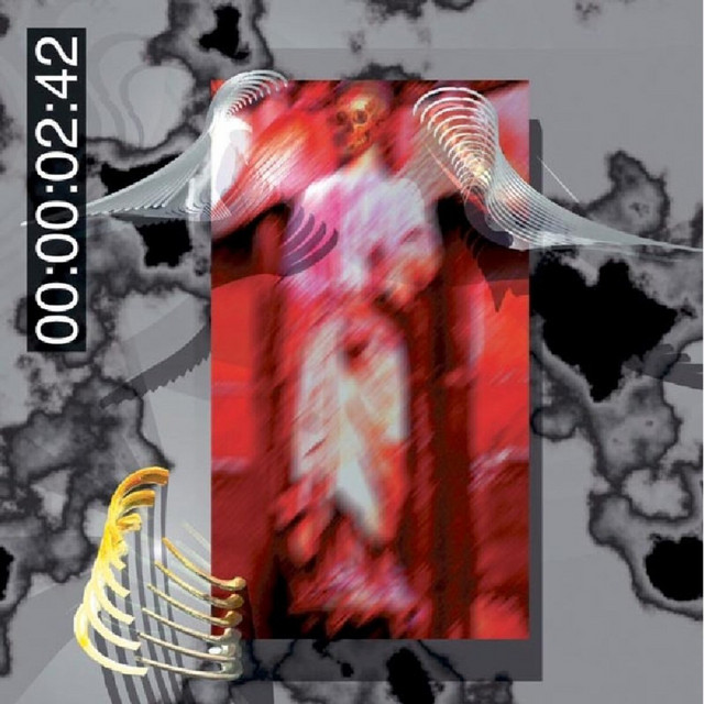 کاور آهنگ Skin: Fur Coat از Front 242