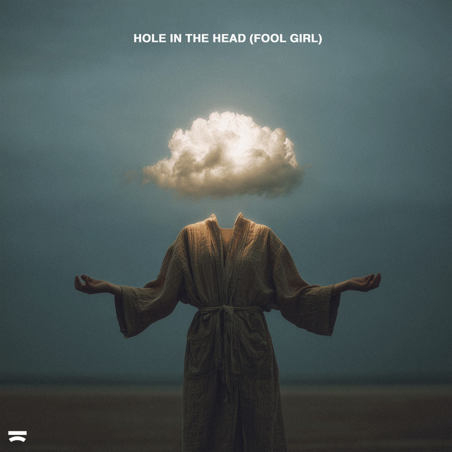 کاور آهنگ Hole In The Head (Fool Girl) از Dubdogz