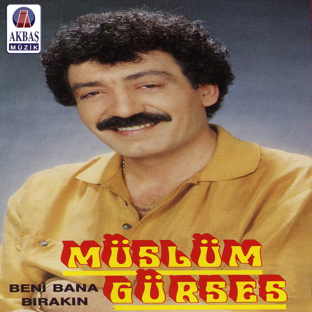 کاور آهنگ Sevmekten Korkuyorsun از Muslum Gurses