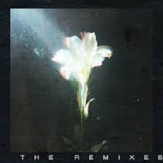 کاور آهنگ Small Doses از Bebe Rexha