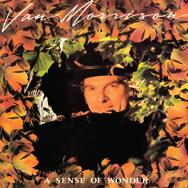 کاور آهنگ Tore Down a la Rimbaud از Van Morrison
